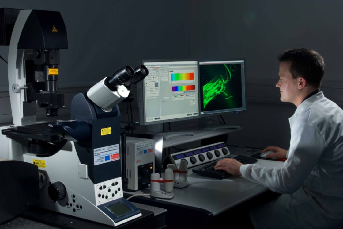 Confocal microscopy